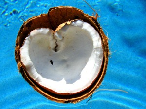 coconut_heart