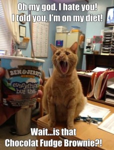 Cat diet ice cream meme