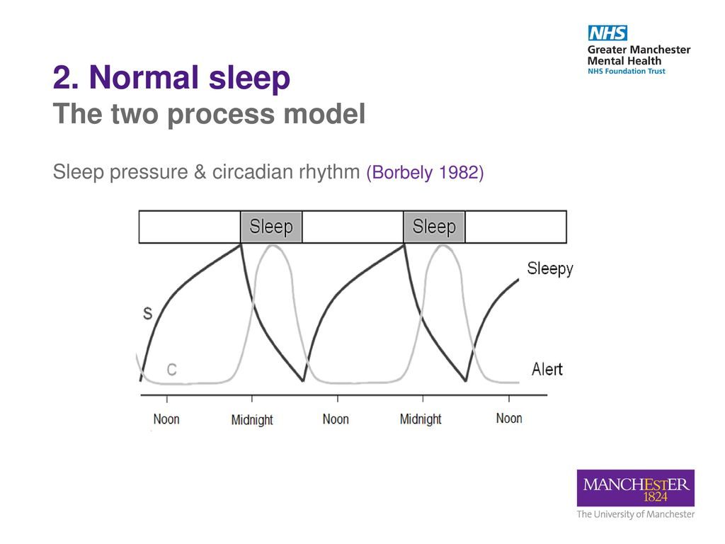 Sleep pressure, circadian rhythm (Borbely 1982)