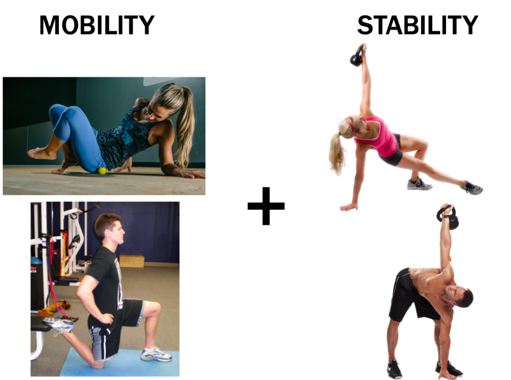mobility plus stability